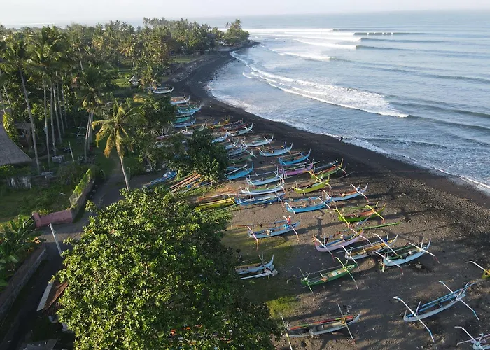 Medewi Hady Surf Camp *